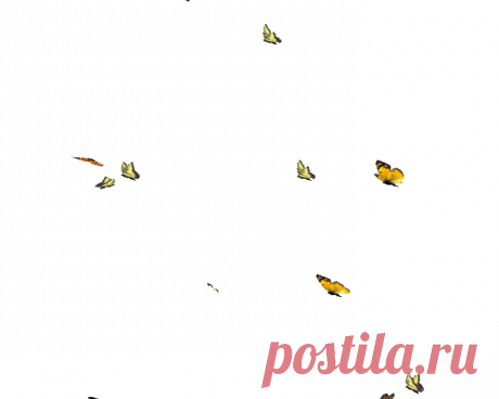 ИСЦЕЛЕНИЕ, ОЗДОРОВЛЕНИЕ И ВОССТАНОВЛЕНИЕ ЭНЕРГИИ 💌