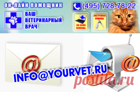 Он-лайн помощь