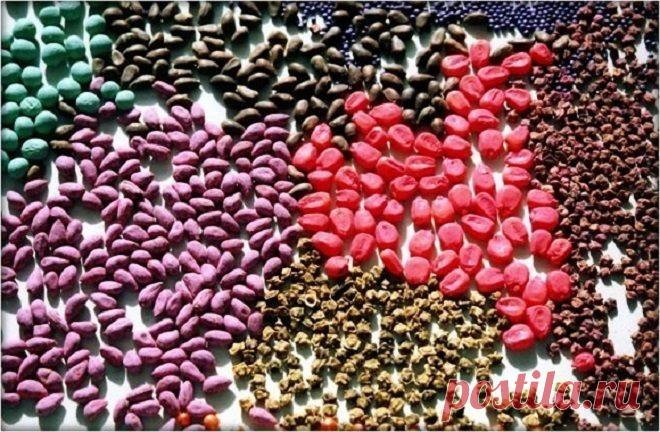 Что такое протравители и зачем они нужны - Грабельки