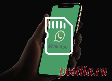 Папка WhatsApp занимала 5 ГБ — как я очистил память смартфона? | AndroidLime | Яндекс Дзен