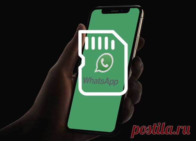 Папка WhatsApp занимала 5 ГБ — как я очистил память смартфона? | AndroidLime | Яндекс Дзен