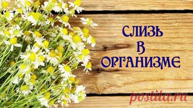 Слизь в организме. Откуда берётся, чем опасна и как выводить?
