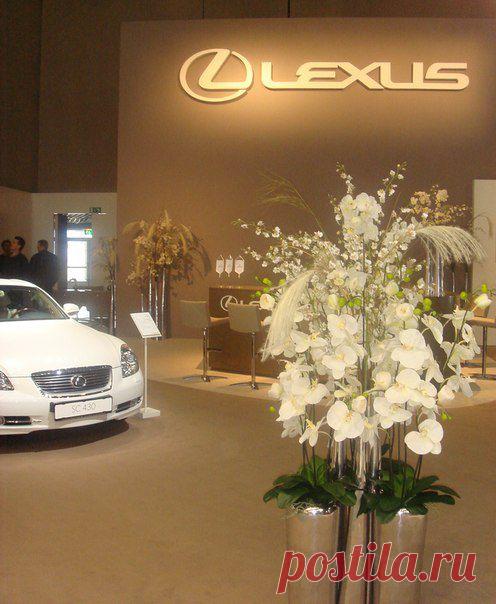 Как поднять боевой дух в команде и ... Доход!