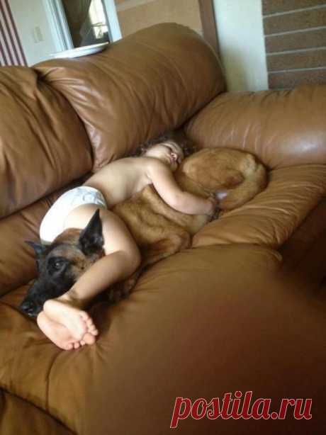 27 Dogs That Will Do Anything For Kids