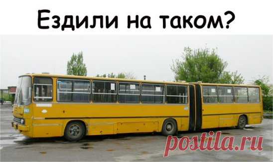 (51) Одноклассники