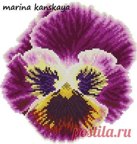 Пин от пользователя M. Hilke на доске violets and pansies