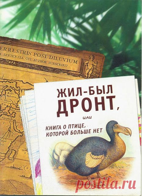 птица додо алиса в стране чудес: 4 тыс изображений найдено в Яндекс.Картинках