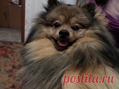 мне уже 10 месяцев?старею