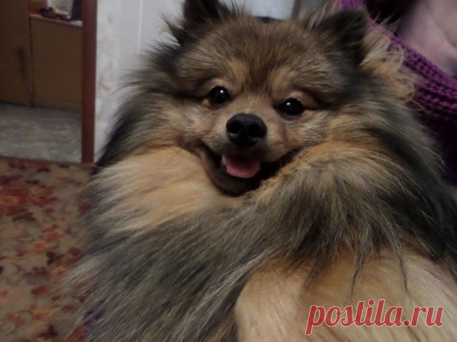 мне уже 10 месяцев?старею