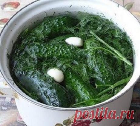 Суточные малосольные огурчики на минералке
Лето – самое время для малосольных огурчиков, упругих и хрустящих. У каждой хозяйки свой рецепт и каждый хорош по-своему.
Солить нужно небольшие, крепкие, молодые огурцы «с пупырышками».
Малосольные огурчики на минералке – это, просто, бомба!
Ингредиенты:
— 1 кг огурцов
— 1 литр минеральной воды
— 2 столовые ложки соли без горки
— укроп
— 5 зубчиков чес
#ИдеиПолезныеСоветы