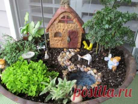 Создание мини-садов своими руками в горшках
