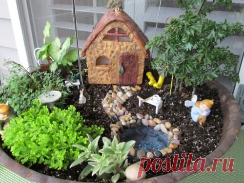 Создание мини-садов своими руками в горшках