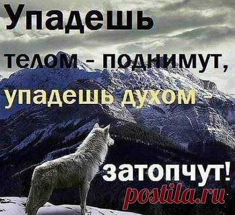 Копилка мудрости(Книга жизни)
Жизнь прекрасна, но очень коварна … Что готовит она впереди? 
В путь далекий с судьбою отправит… Бесполезно! Не спорь! Иди… 
Но не смей… никогда… ты слышишь, взять в попутчики в этом пути: 
Месть, предательство, злобу и зависть, как бы ни было трудно идти.