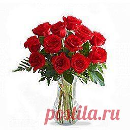 Светлана Болотова