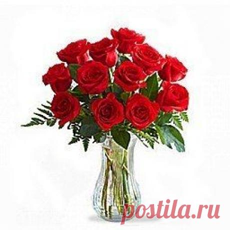 Светлана Болотова