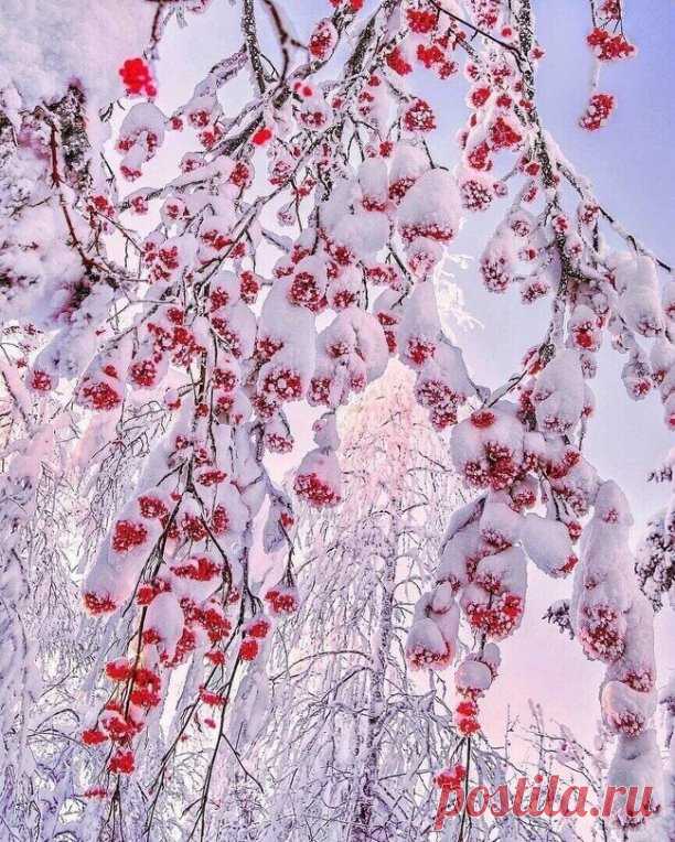 ღ