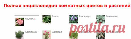 Полная энциклопедия комнатных цветов и растений