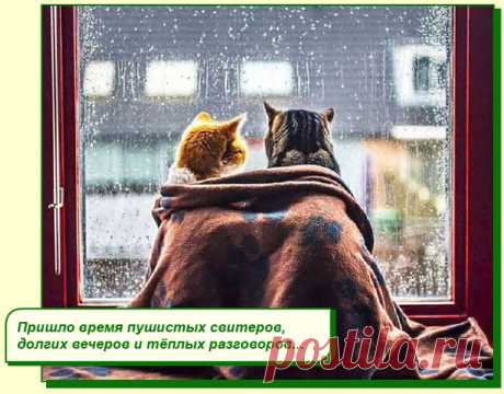 ХОРОШЕГО ВАМ НАСТРОЕНИЯ