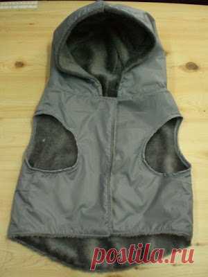 Liladas: Ropa para perros