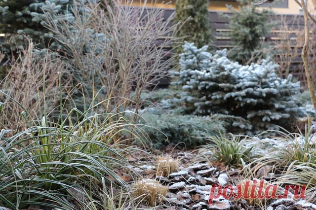 Проект недели: Всесезонный сад на 7 сотках