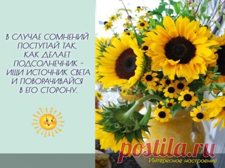 100kursov.com | Светлана Лаврентьева