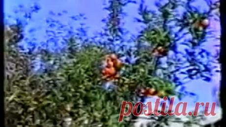 Галина Шаталова - Система естественного оздоровления.