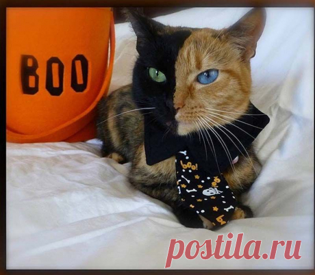 17 фотозагадок с «последующим разоблачением» :).