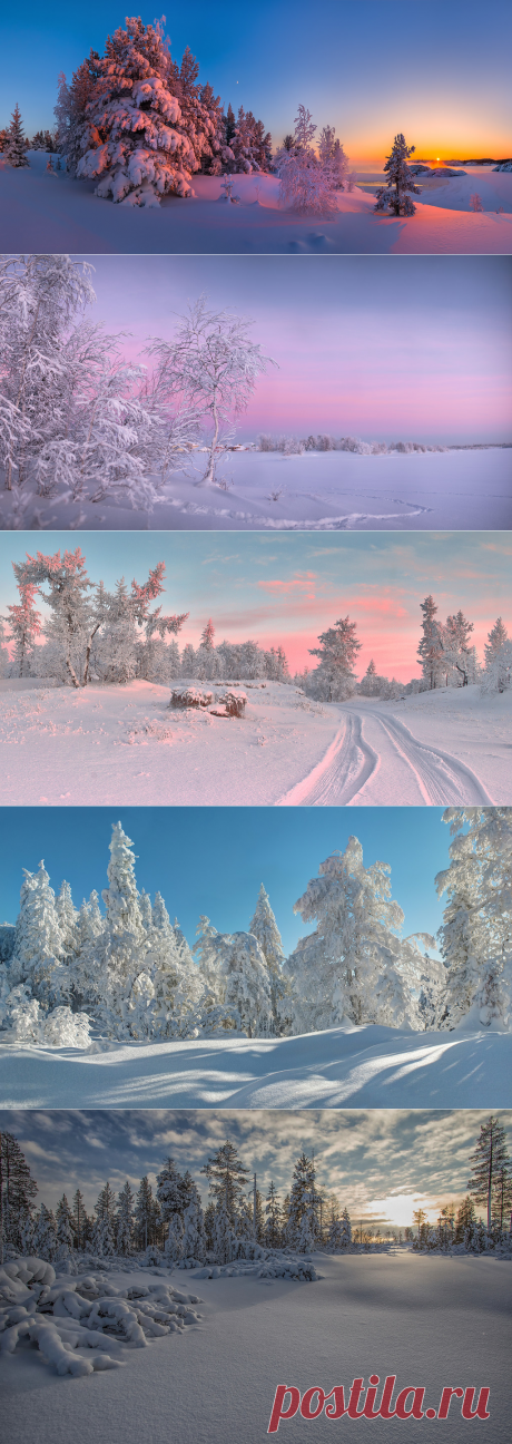 Хранит зима загадки, тайны в своём безмолвии немом