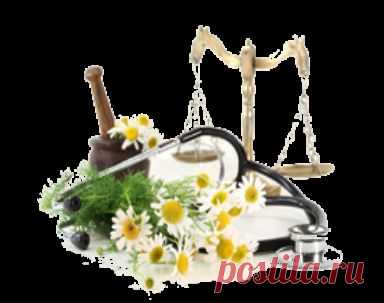 РЕЦЕПТ ПРОДЛЕНИЯ ЖИЗНИ