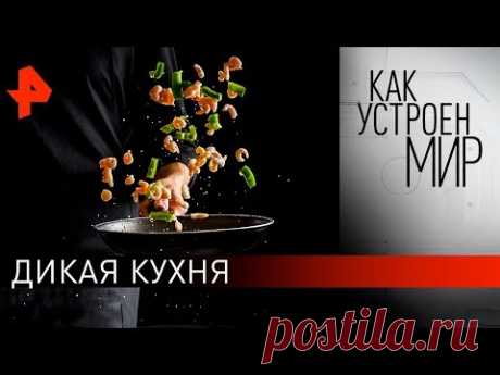 Дикая кухня. «Как устроен мир" с Тимофеем Баженовым (20.03.20).