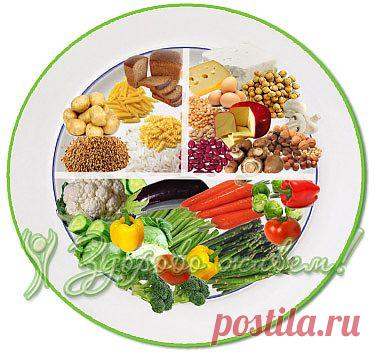 Правило тарелки. Правило тарелки отзывы. Все о правильном питании и похудении