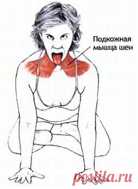 Очищение миндалин промыванием и упражнениями | Правила здоровья и долголетия