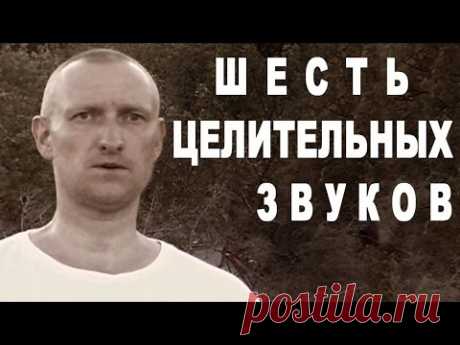 Цигун "Шесть целительных звуков" (люцзыцзюэ 六字诀)