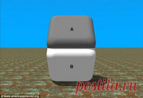 Иллюзия восприятия цвета или цвет - измененный мозгом свет? | Непознанный мир