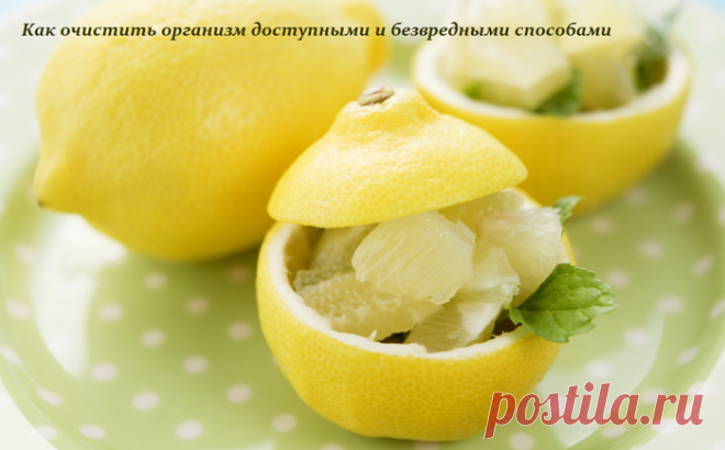 Как очистить организм доступными и безвредными способами.