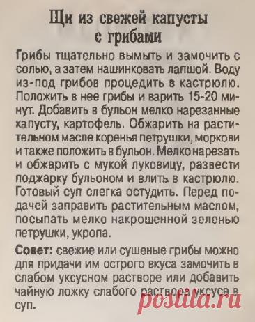 Щи из свежей капусты с грибами