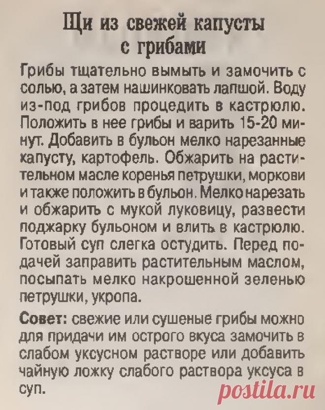 Щи из свежей капусты с грибами