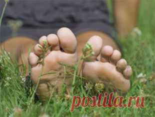 Упражнения для стоп: снимаем усталость и напряжение в ногах | Секреты красоты | Здоровье | Аргументы и Факты