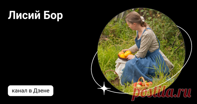 Лисий Бор | Дзен