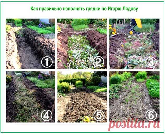 Хитрости в обустройстве узких грядок