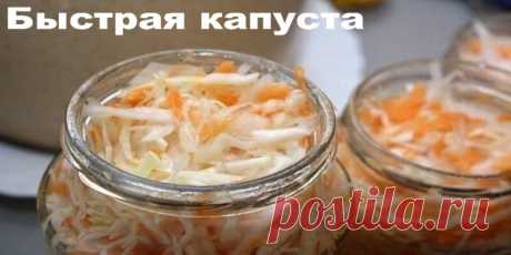 Быстрая капуста | Полезные советы