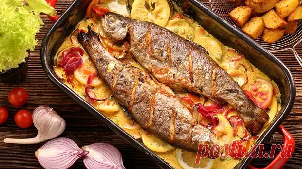 Горячие блюда из рыбы на новогодний стол для тех, кто устал от запеченной курицы - Всё о женщинах - Медиаплатформа МирТесен