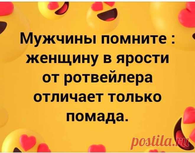 Воскресный позитивчик для настроения