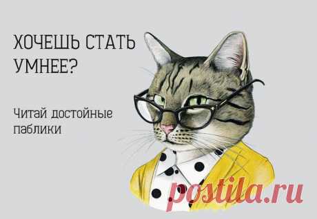 Тайная жизнь вашего кота