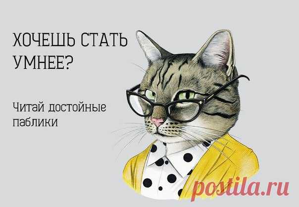 Тайная жизнь вашего кота