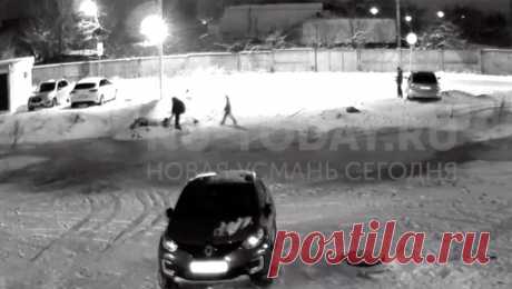 Подростки спасли ребенка, провалившегося в яму с ледяной водой. В селе Новая Усмань Воронежской области ученики местной школы спасли мальчика, который по пояс провалился в яму с ледяной водой. Об этом сообщается в Telegram-канале &quot;Новая Усмань сегодня&quot;. Инцидент произошел 23 января и попал ...