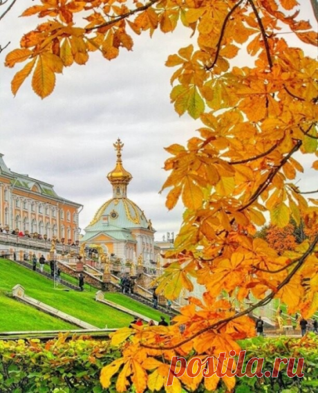 2 ноября - День Международного признания Петербурга