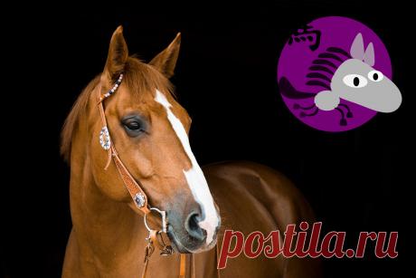 Восточный (китайский) гороскоп на 2019 год для всех знаков по году рождения 🚩 Астрология и эзотерика Подробнее
Знаки восточного гороскопа на 2019 - 2020 год.
Гороскоп для Овна.
Подробный гороскоп по году рождения.
Подробнее
Китайский гороскоп на 2019 2020 год для Знаков Восточного Зодиака Подробнее
Восточный Гороскоп на 2019-ый год Свиньи.
Новый Китайское Гороскоп для Всех Знаков Зодиака Подробнее
Год Змеи (2019).
Прогноз, гороскоп для всех знаков Зодиака на 2019 Подробнее
Китайский Гороскоп н…