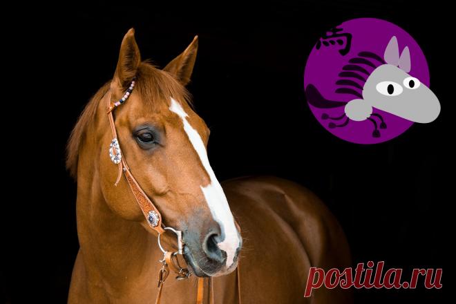 Восточный (китайский) гороскоп на 2019 год для всех знаков по году рождения 🚩 Астрология и эзотерика Подробнее
Знаки восточного гороскопа на 2019 - 2020 год.
Гороскоп для Овна.
Подробный гороскоп по году рождения.
Подробнее
Китайский гороскоп на 2019 2020 год для Знаков Восточного Зодиака Подробнее
Восточный Гороскоп на 2019-ый год Свиньи.
Новый Китайское Гороскоп для Всех Знаков Зодиака Подробнее
Год Змеи (2019).
Прогноз, гороскоп для всех знаков Зодиака на 2019 Подробнее
Китайский Гороскоп н…