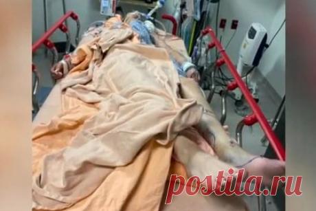 Девушка чудом выжила после укуса змеи и отметила день рождения в больнице. 21-летняя Сьерра Линн из США выжила после укуса ядовитой змеи и отметила день рождения в больнице. Девушка вместе с подругой гуляла по парку, когда ей показалось, что она ударилась ногой о ветку. Линн опустила глаза и поняла, что в ее голень впился ромбический гремучник.